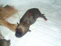 /album/listopad-2012/a17-11-2012-3-jpg/